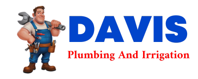 Trusted plumber in CROCKETTS BLUFF